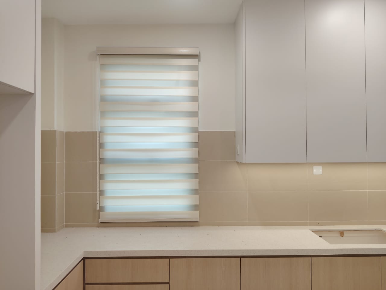 ZEBRA BLINDS